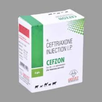Ceftriaxone Injection